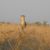 Gerrie Louwrens Toere / Tours