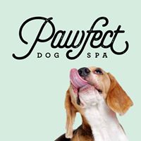 Pawfect Dog Spa Headcorn