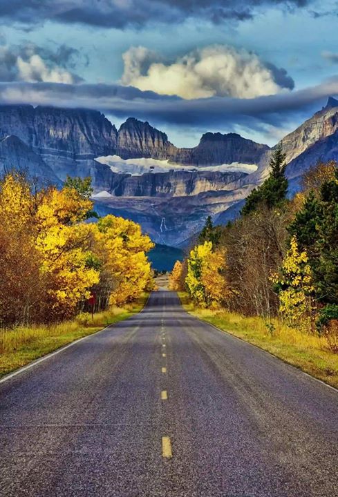 Montana Call of the Wild Photography