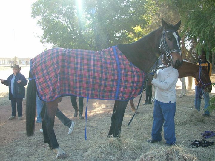 Kellow Park R25 training show
